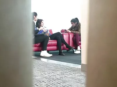 استقبال از گربه فیلم سکس کورد جوان